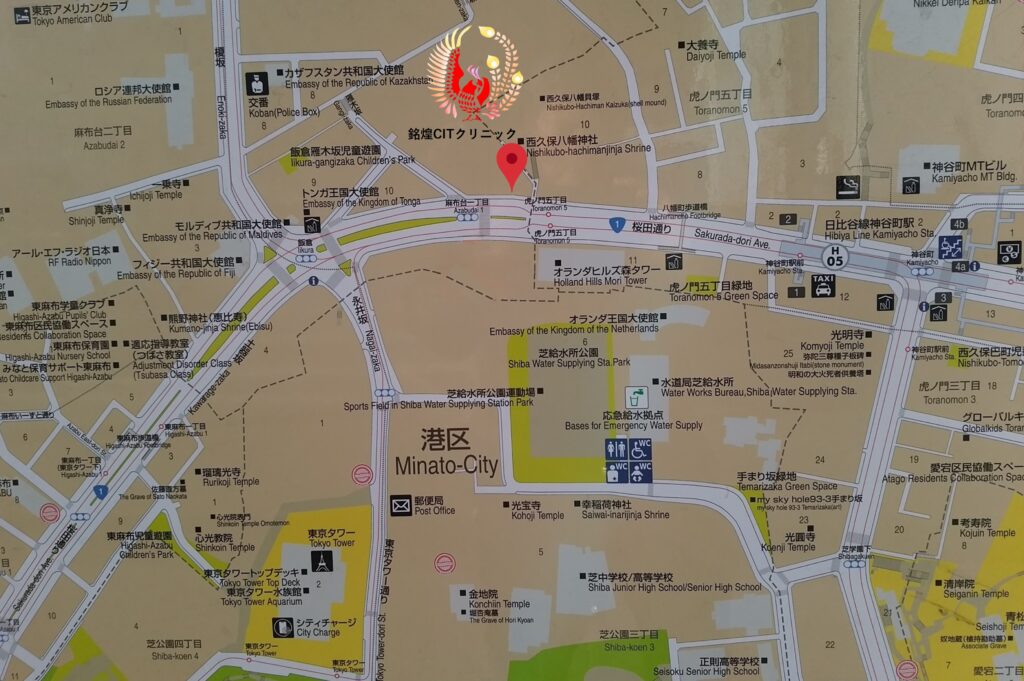 周辺地図